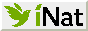 Inat button
