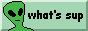Whatssupalien button