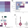 Use of open mobile mapping tool to assess human mobility traceability in rural offline populations with contrasting malaria dynamics