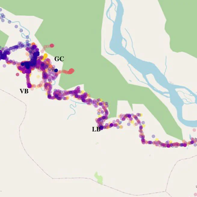 Quantifying the effect of human population mobility on malaria risk in the Peruvian Amazon