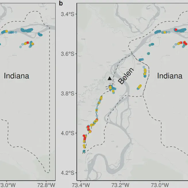 Malaria seroepidemiology in very low transmission settings in the Peruvian Amazon